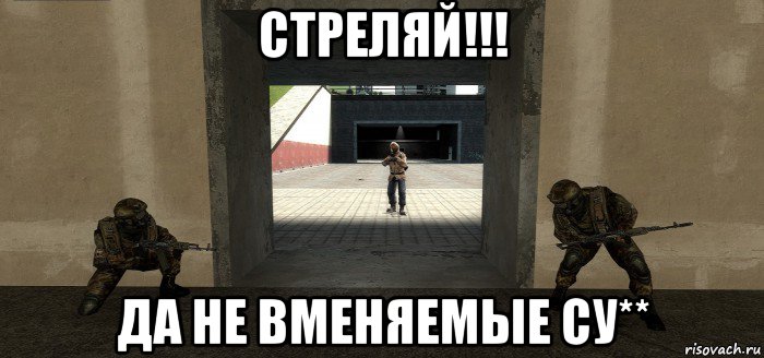 стреляй!!! да не вменяемые су**