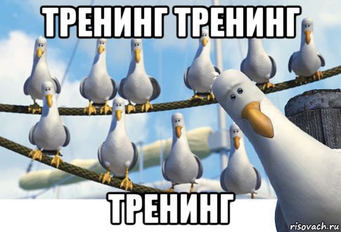 тренинг тренинг тренинг