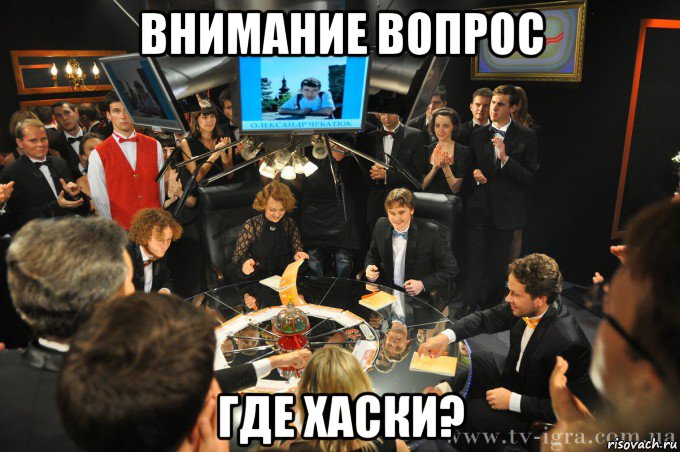 внимание вопрос где хаски?
