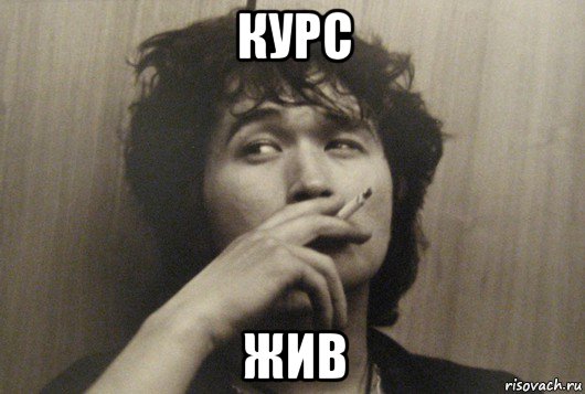курс жив