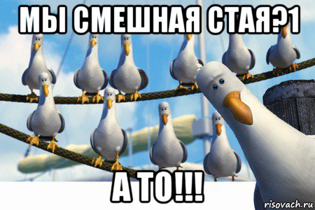 мы смешная стая?1 а то!!!