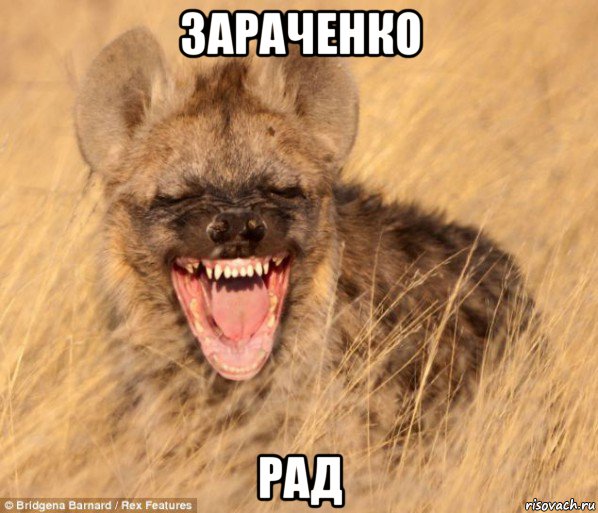 зараченко рад