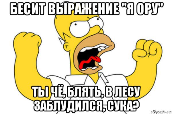 бесит выражение "я ору" ты чё, блять, в лесу заблудился, сука?, Мем Разъяренный Гомер