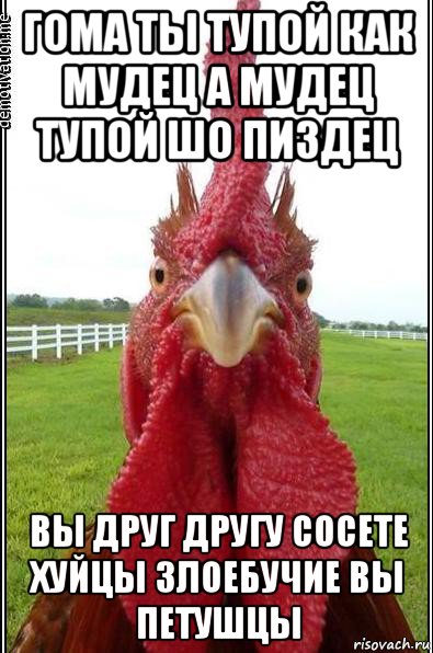 гома ты тупой как мудец а мудец тупой шо пиздец вы друг другу сосете хуйцы злоебучие вы петушцы