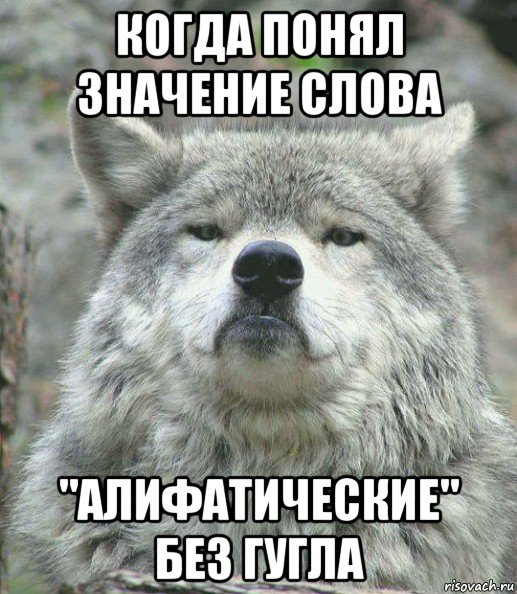 когда понял значение слова "алифатические" без гугла, Мем    Гордый волк