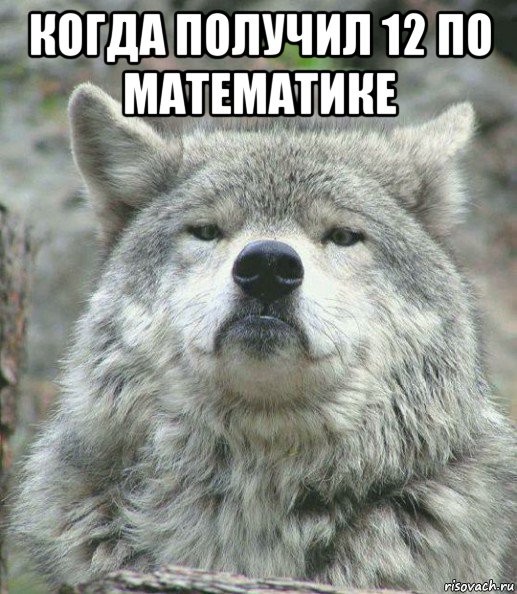 когда получил 12 по математике , Мем    Гордый волк