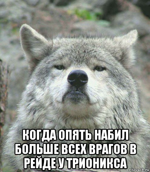  когда опять набил больше всех врагов в рейде у трионикса, Мем    Гордый волк