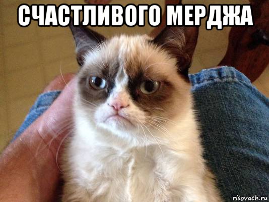 счастливого мерджа , Мем grumpy