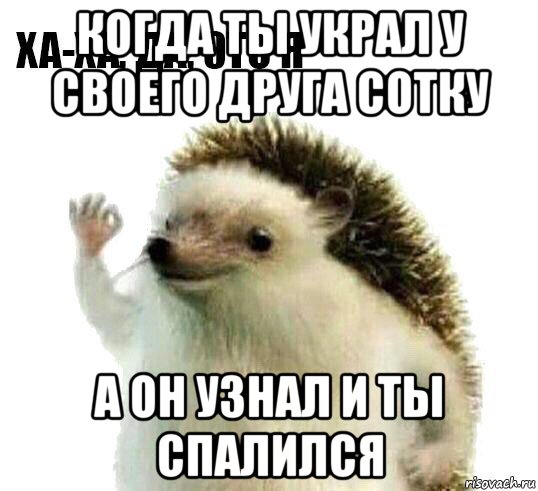 когда ты украл у своего друга сотку а он узнал и ты спалился, Мем Ха-ха да это я