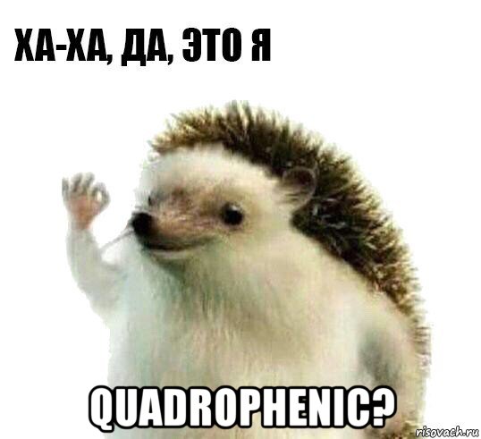  quadrophenic?, Мем Ха-ха да это я