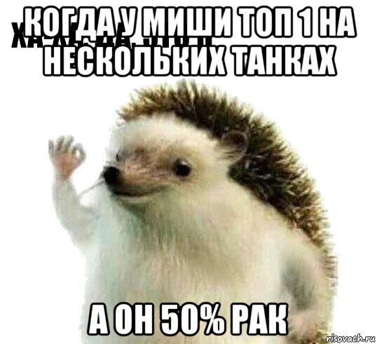 когда у миши топ 1 на нескольких танках а он 50% рак, Мем Ха-ха да это я