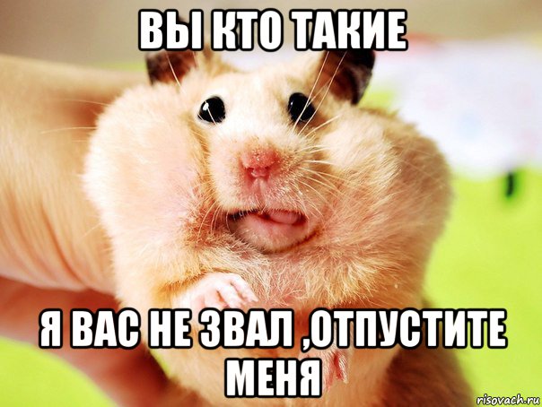 вы кто такие я вас не звал ,отпустите меня