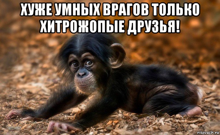 хуже умных врагов только хитрожопые друзья! , Мем Хуже умных врагов  хитрожопые друзья