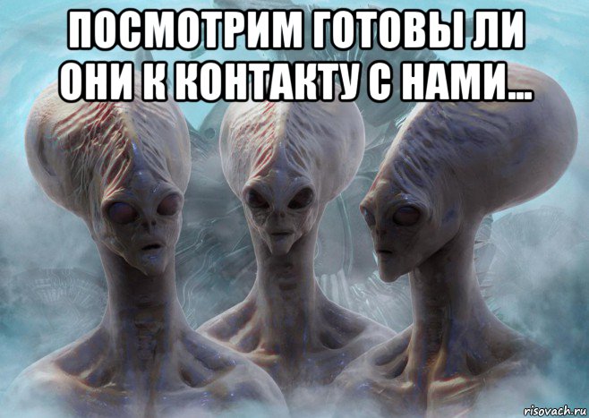 посмотрим готовы ли они к контакту с нами... 