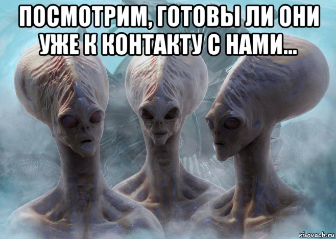 посмотрим, готовы ли они уже к контакту с нами... 