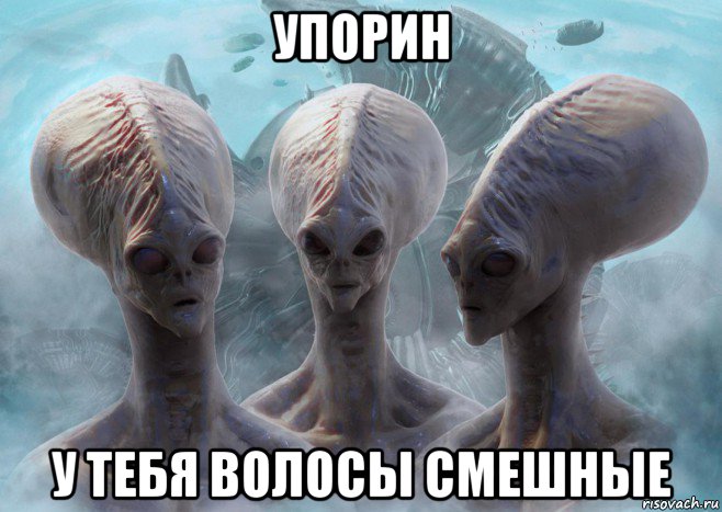 упорин у тебя волосы смешные