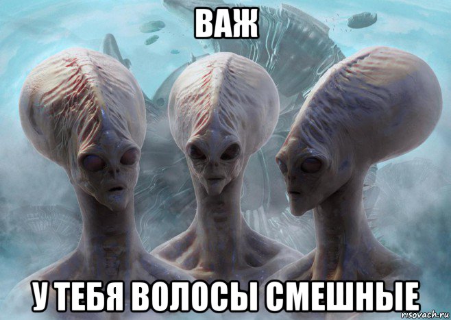 важ у тебя волосы смешные