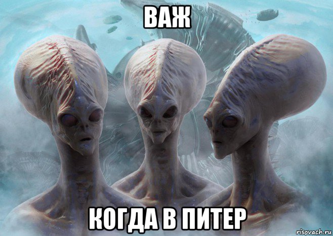 важ когда в питер