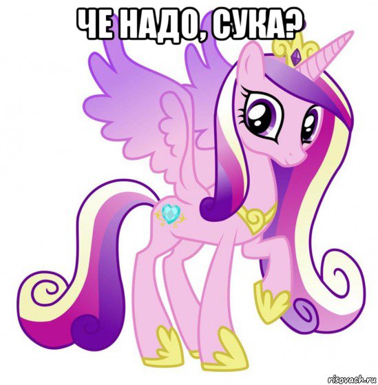 че надо, сука? 