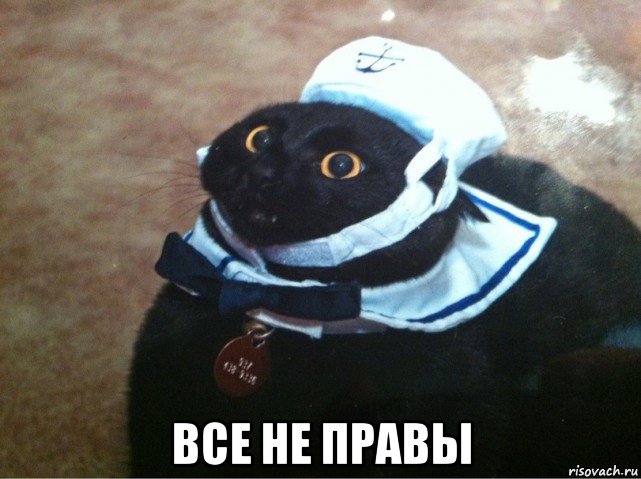  все не правы, Мем Капитан лодка