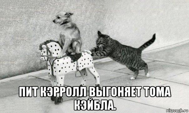  пит кэрролл выгоняет тома кэйбла.