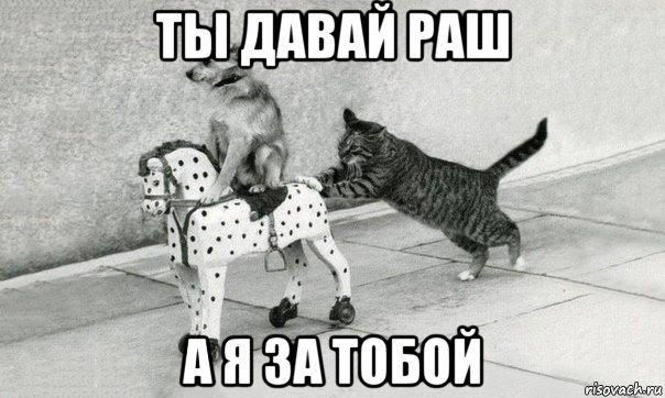 ты давай раш а я за тобой