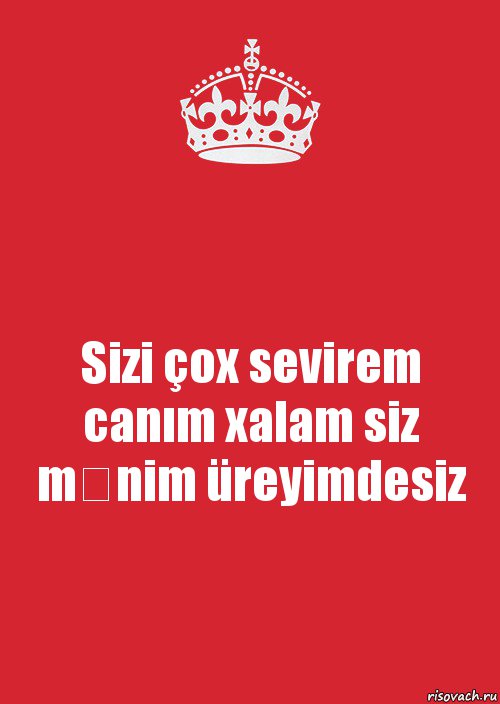 Sizi çox sevirem canım xalam siz mənim üreyimdesiz, Комикс Keep Calm 3