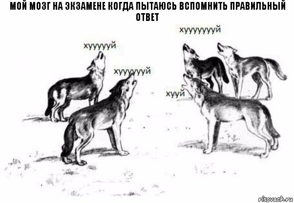 Мой мозг на экзамене когда пытаюсь вспомнить правильный ответ, Комикс Когда хочешь