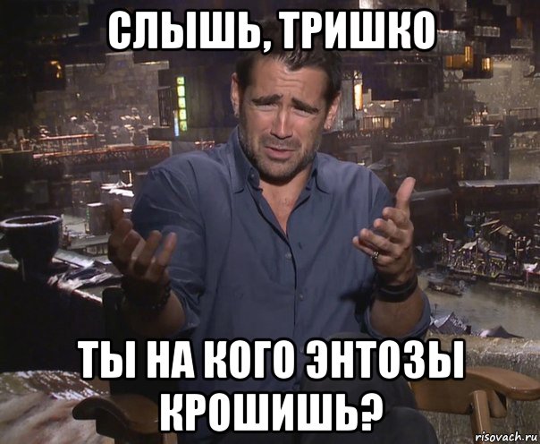 слышь, тришко ты на кого энтозы крошишь?