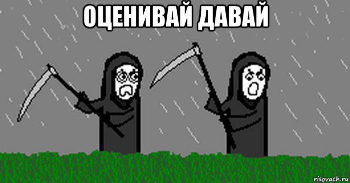 оценивай давай 