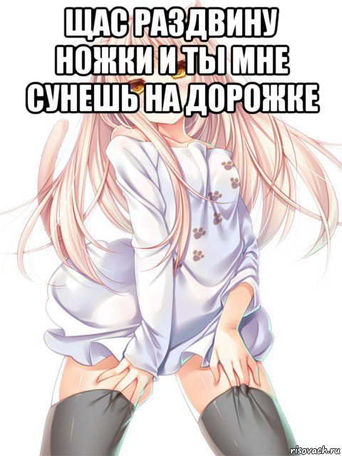 щас раздвину ножки и ты мне сунешь на дорожке , Мем Кошкодевочка