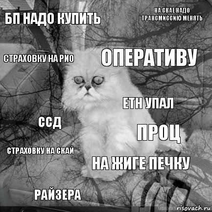 БП надо купить проц оперативу райзера ССД на скае надо трансмиссию менять на жиге печку страховку на рио страховку на скай ETH упал, Комикс  кот безысходность