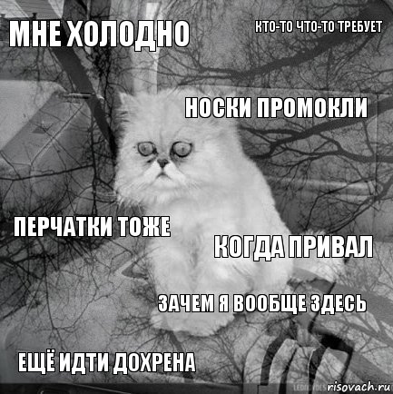 Мне холодно Когда привал Носки промокли Ещё идти дохрена Перчатки тоже Кто-то что-то требует Зачем я вообще здесь   , Комикс  кот безысходность