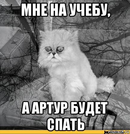 мне на учебу, а артур будет спать, Мем Кот депрессия
