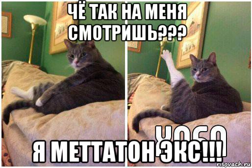 чё так на меня смотришь??? я меттатон экс!!!, Комикс Кот Хоба