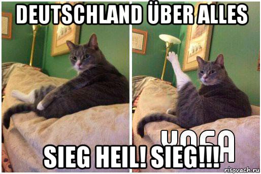 deutschland über alles sieg heil! sieg!!!, Комикс Кот Хоба