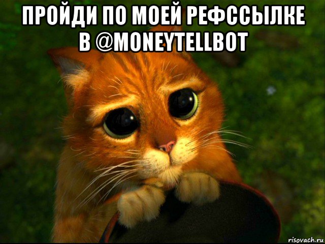 пройди по моей рефссылке в @moneytellbot , Мем кот из шрека