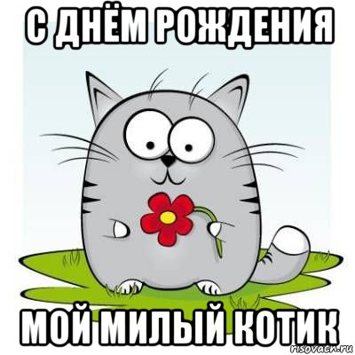 Милейший котик с днем рождения Милейший котик с днем рождения