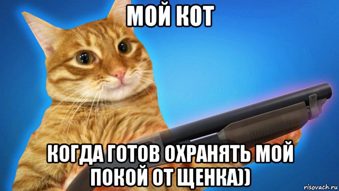 мой кот когда готов охранять мой покой от щенка)), Мем Кот с дробовиком