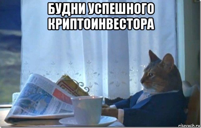 будни успешного криптоинвестора 