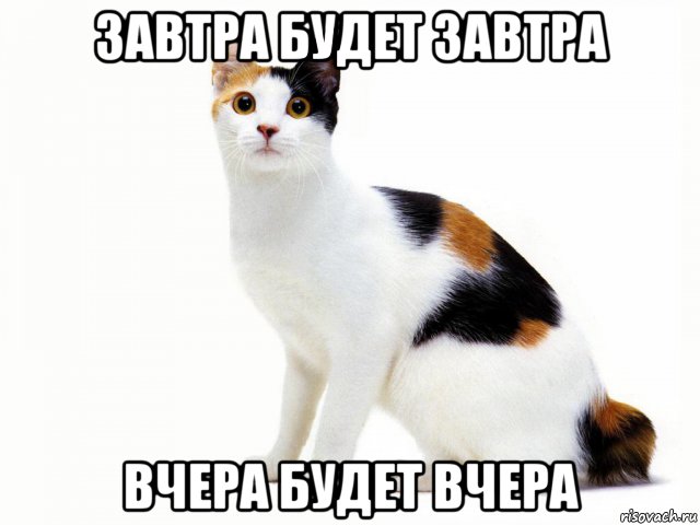 завтра будет завтра вчера будет вчера, Мем Кот учёный