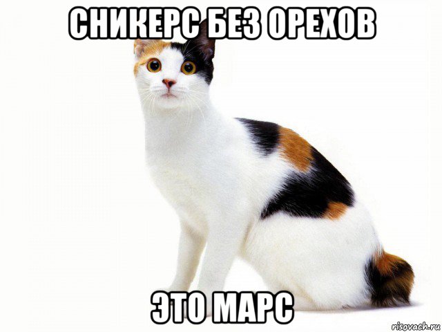 сникерс без орехов это марс