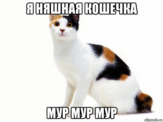я няшная кошечка мур мур мур, Мем Кот учёный