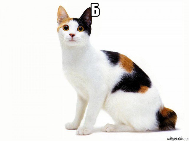 б 