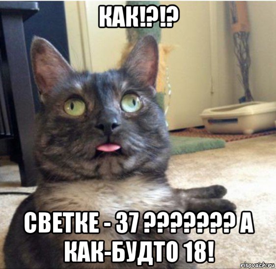 как!?!? светке - 37 ??????? а как-будто 18!, Мем   Кот завис