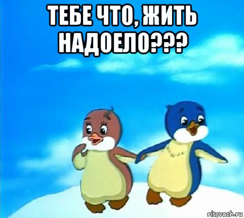 тебе что, жить надоело??? 
