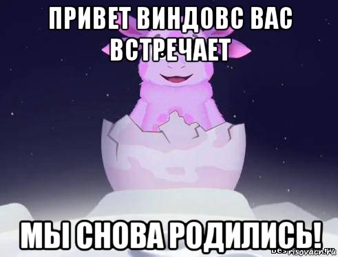 привет виндовс вас встречает мы снова родились!