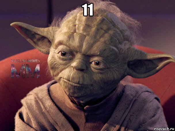 11 