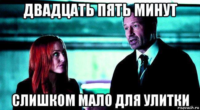 двадцать пять минут слишком мало для улитки