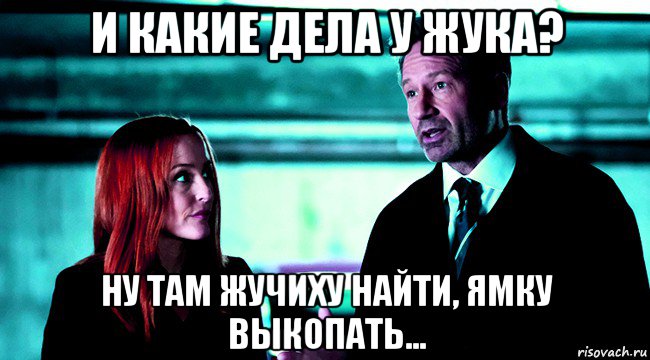 и какие дела у жука? ну там жучиху найти, ямку выкопать...
